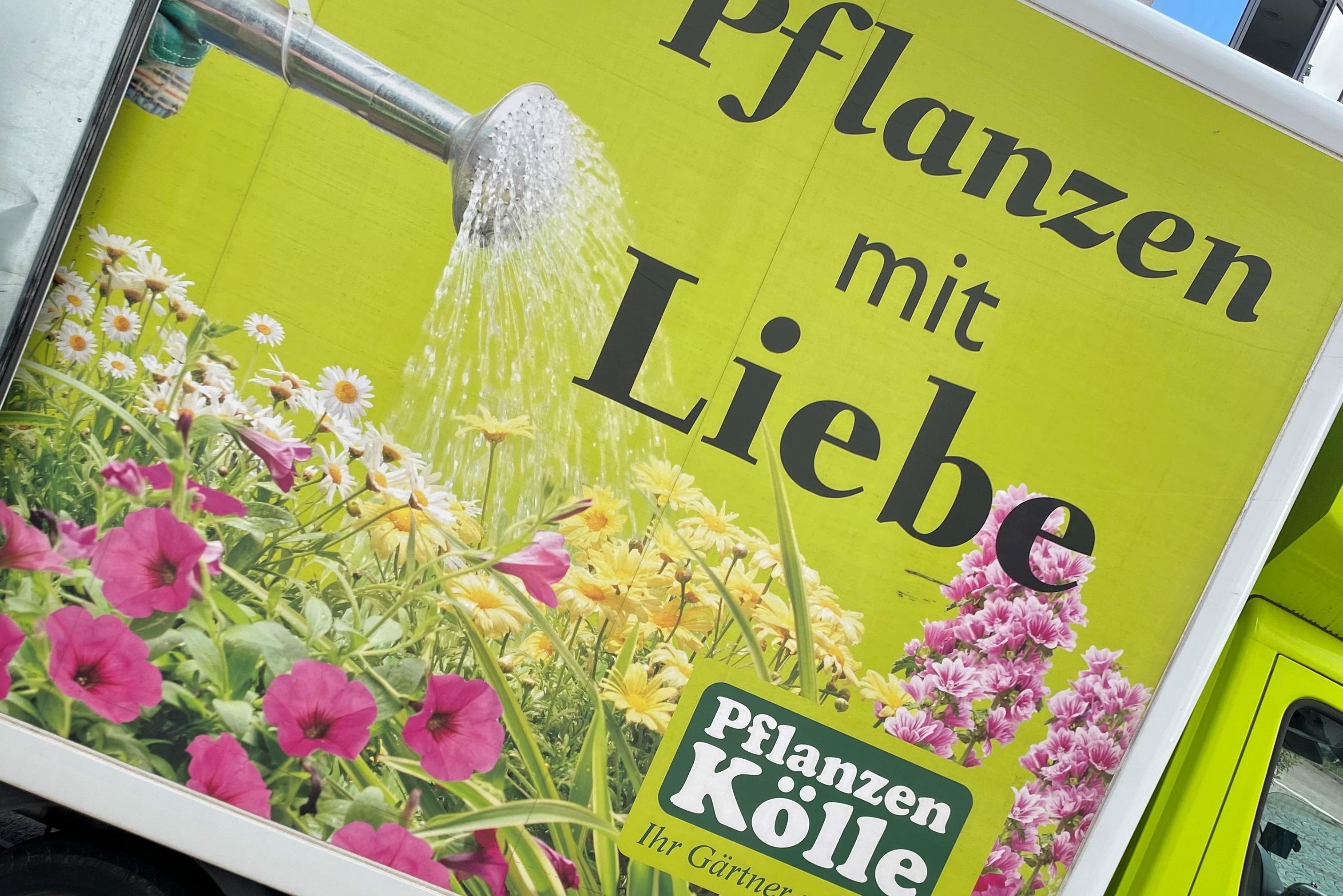 Lieferung bei Dess+Falk von Pflanzen Kölle!